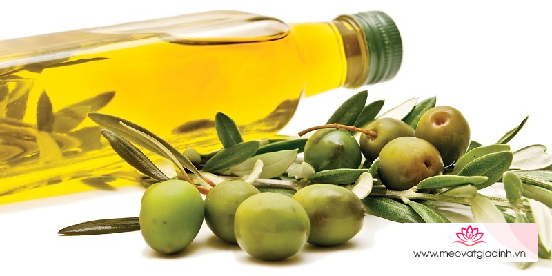 Move To Earn iCoin & Health giải chạy bộ trực tuyến độc đáo